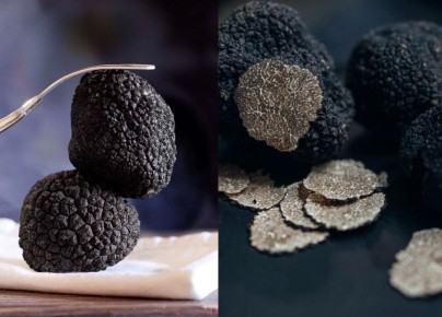 �������: ������ ��������� ���� � ����������� �����