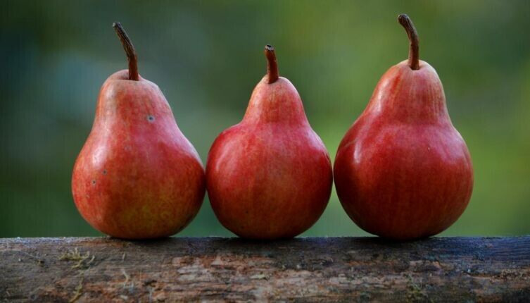 ������� � ������� �������� � ������������� � ������