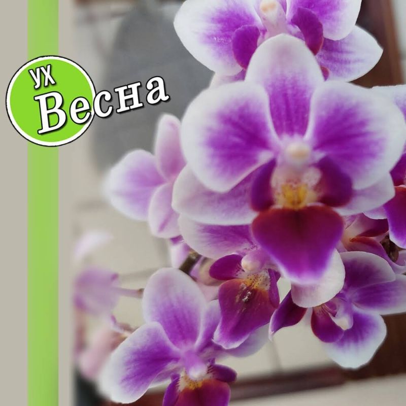 ��� ����� ����������� �� ����� ���������� �����������