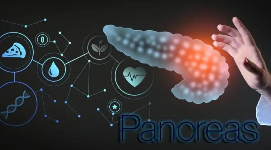 ����� ��� �����������: ��� ��������� �������� � ��� ��������