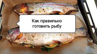 ��� ������ ������ ����: ������� �� ���-������� � ������� �������