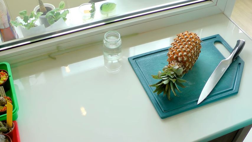 ����������� ������� � �������� ��������: ������� ������ ��� ���������� ���������