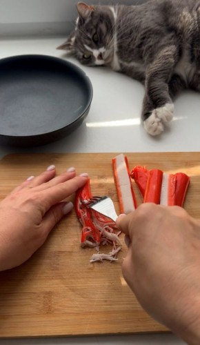 ��������� ����: ������� ������� ������� � �������� ��������