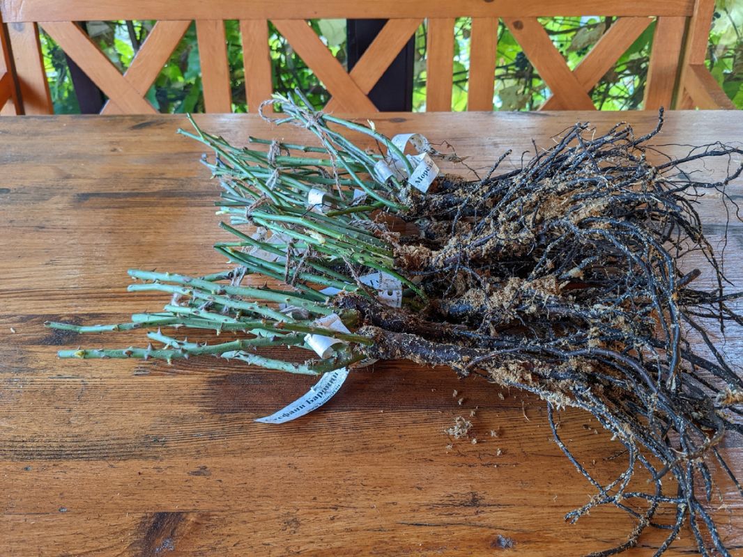 ����� � ����: ���������� � ������ ������ � �� �������� ��� ��������� ��������