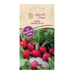 Секреты свежести для новогоднего стола