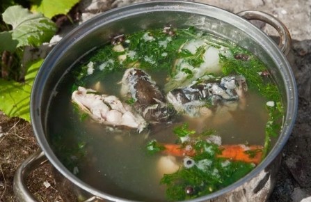 Уха из карася