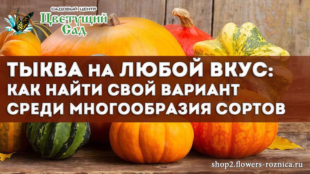 ����� ��� �������: ��� ������� ��������� ���� ��� ������ �����