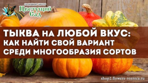 Тыква для каждого: как выбрать идеальный сорт для вашего стола