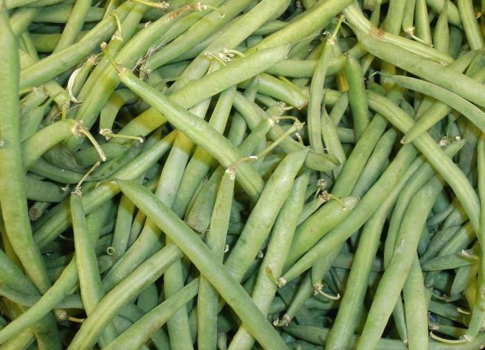 Непредвиденные посадки: успейте высадить эти культуры в августе