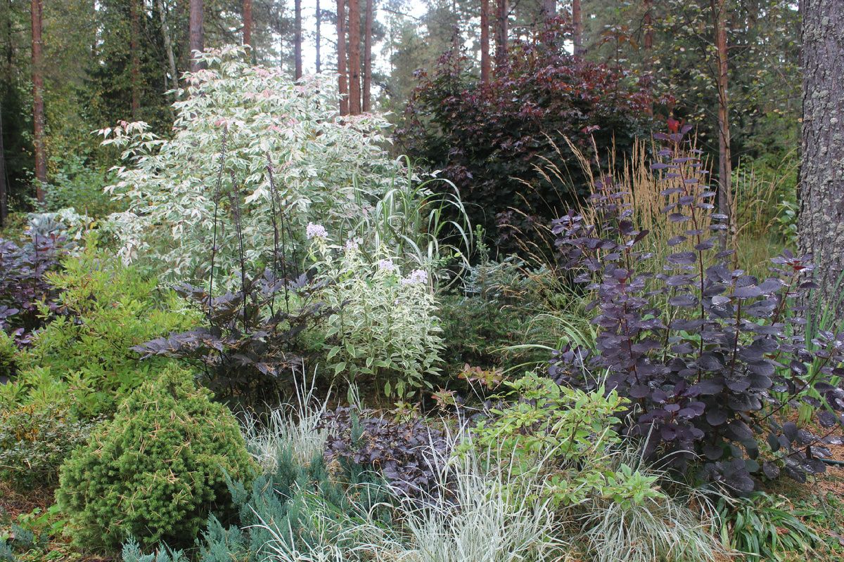 ������� ��������: ������ � ������� � ���� 2025 ����