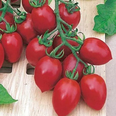 ����� ����� ���: ������� ��� ������� ��� ������ �������