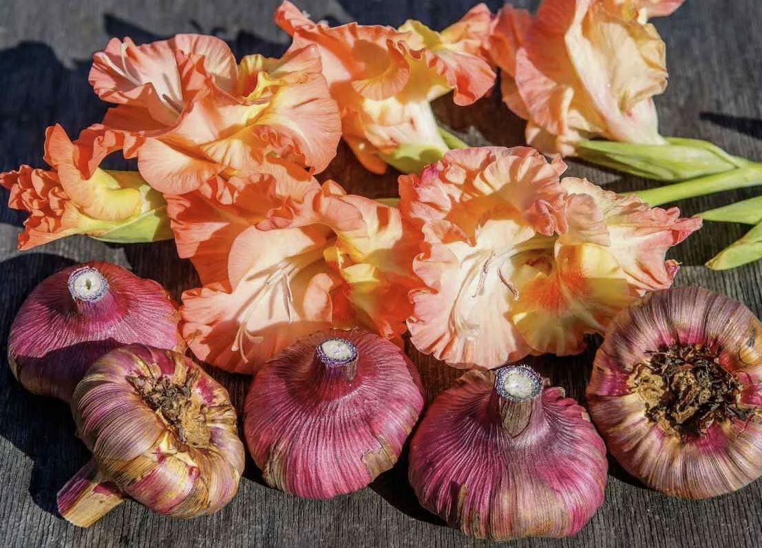 ��� ��������� ����������: ���� ������ �� ���������� � ������ �� �����