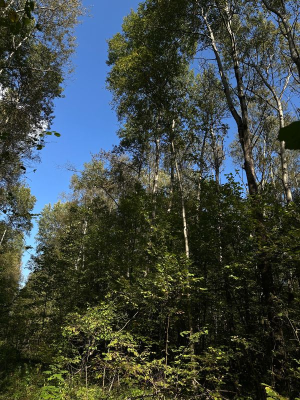 �������� � ����: ������ ������� ������ � �������� ������