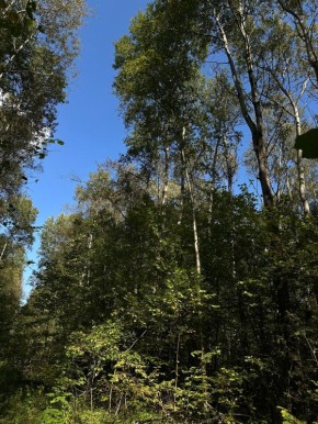 �������� � ����: ������ ������� ������ � �������� ������