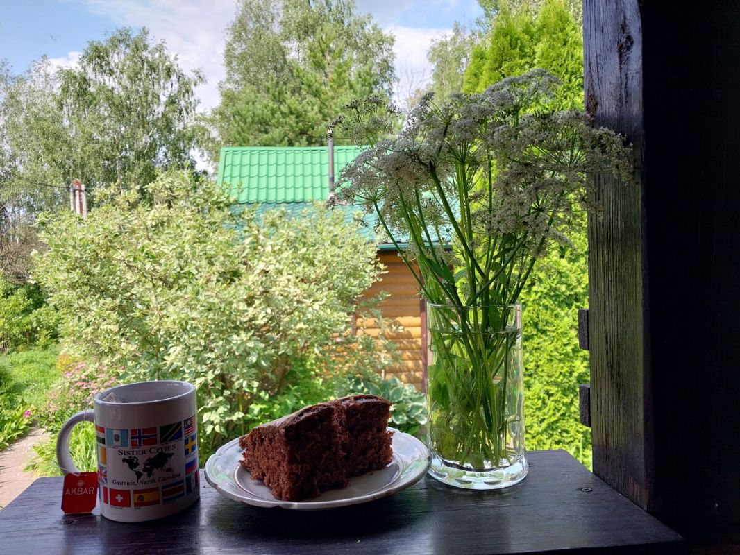 ������� ��������� ������� ���������: ��� ������ ������� �������� ���� � �����