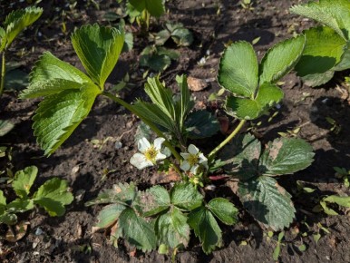 ����� ��������: ������ ����� � ���� � ����������� ���������