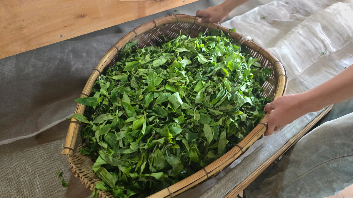 Как состав чая формирует его уникальный вкус