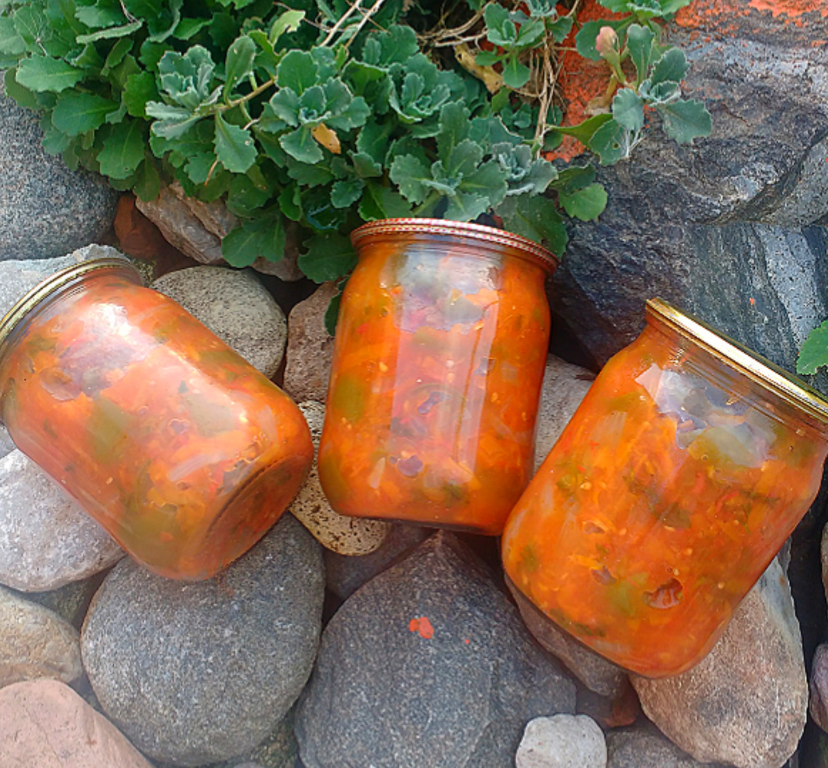 Лечо по-грузински: яркое сочетание вкусов и ароматов