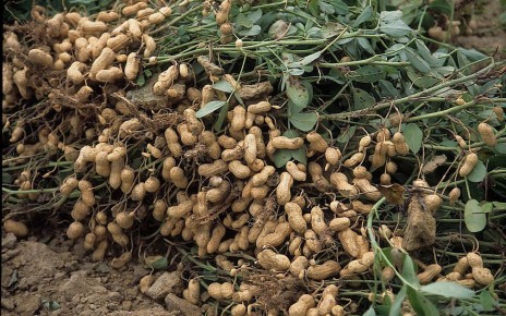 ������: ������ � ����� �������������� ������� ��������