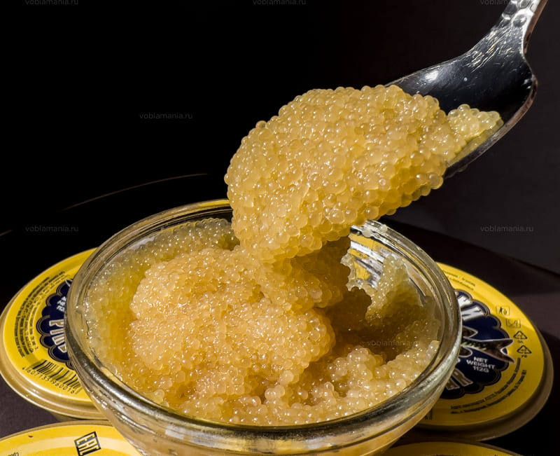 ����� ����: ���������, ������� ����� �����������