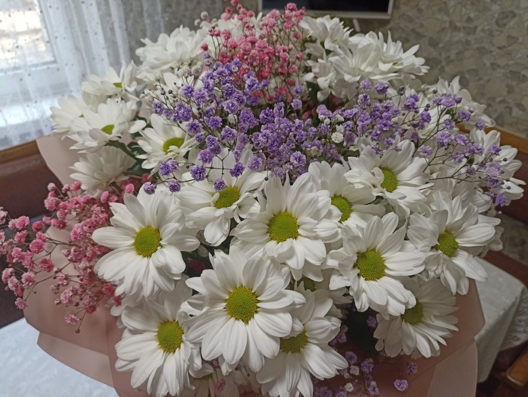 ���� ���� ����: ����� ��� ����?