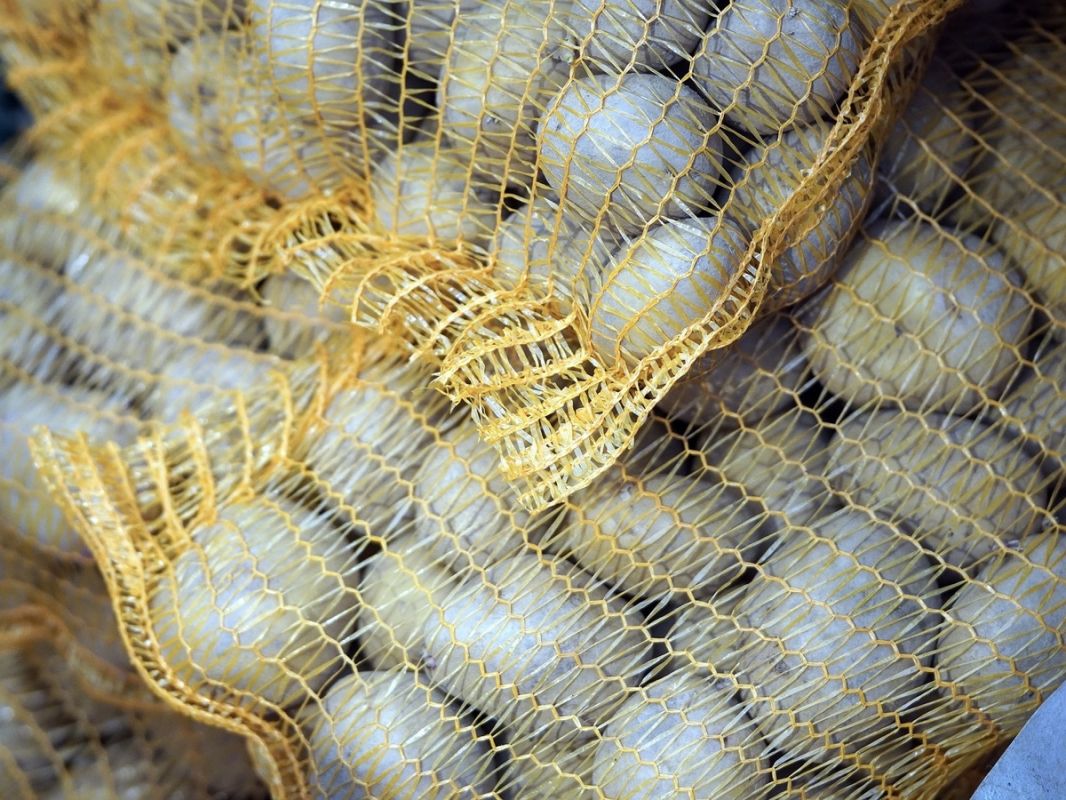 ������ ��������� � ������ ���� ������ �����������