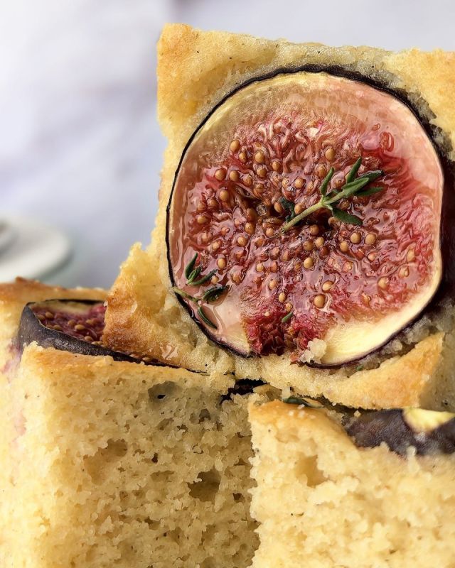 ������� ������ ��� ������ �������: 12 �������� ��� ��������� ��������