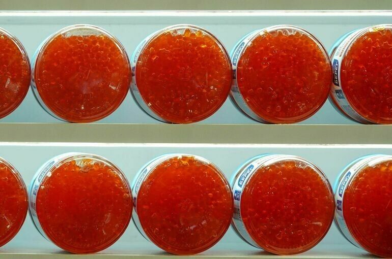 ��� ������� ��������� ������� ����: ������ ��������