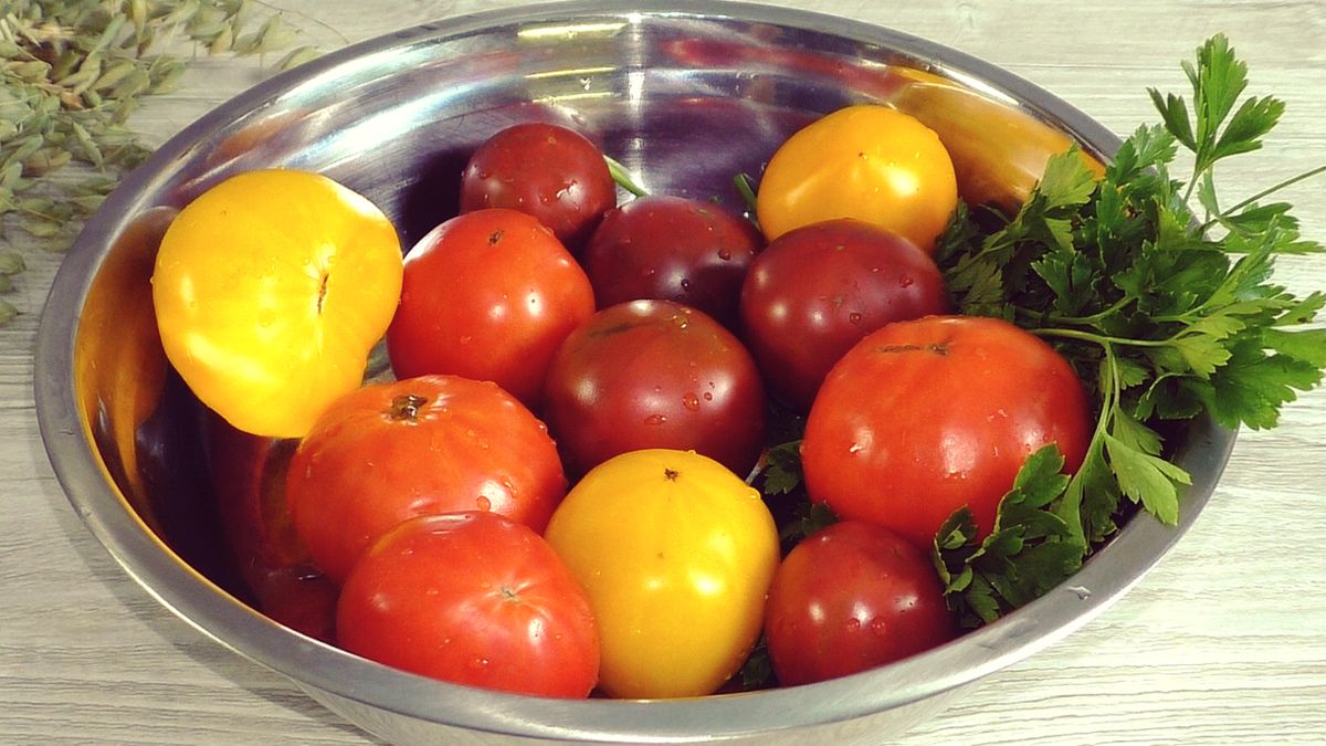 ��������������� ����������� �����: ������ � ������ �� ������ ����