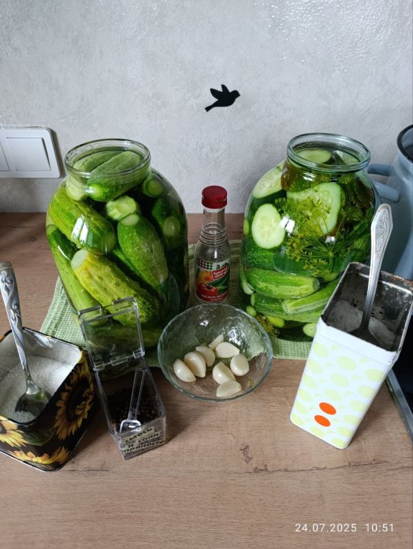 ������ ���� ���������: ��� ��������� ����������� ����� �� ����