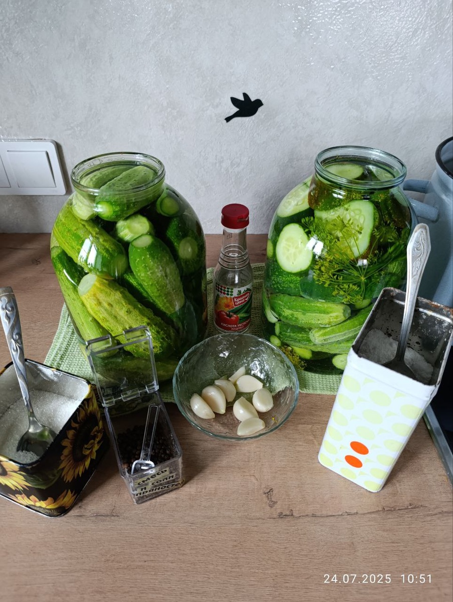 Пришла пора заготовок: как правильно подготовить овощи на зиму