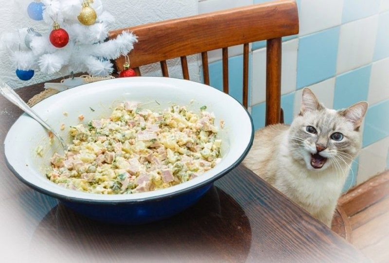 ����� ��� � ���������� ��������: ����������� ��������