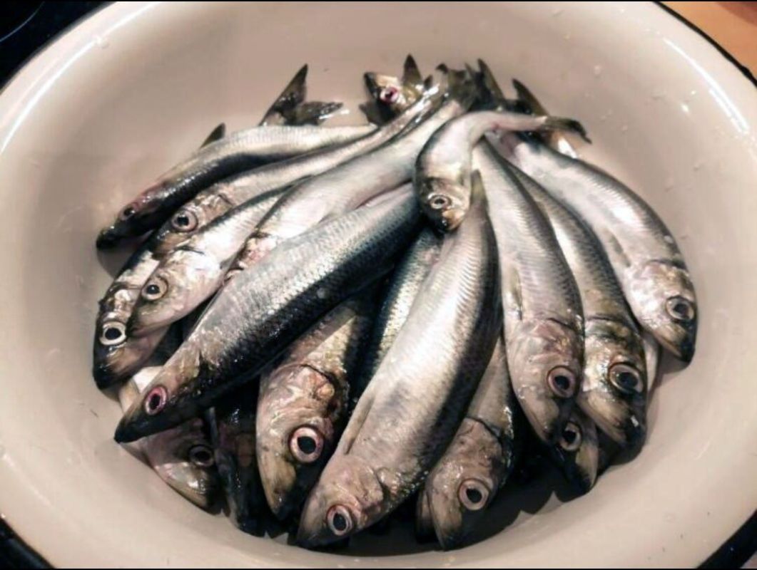 ��������� ����������� � ���������� ������