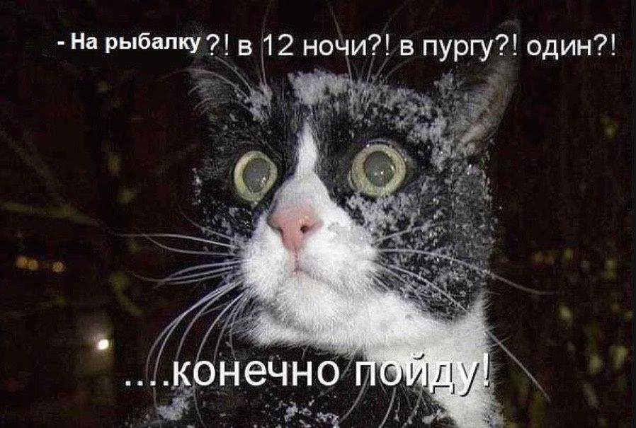 Рыбалка: Юмор, Шутки и Неожиданные Моменты на Берегу