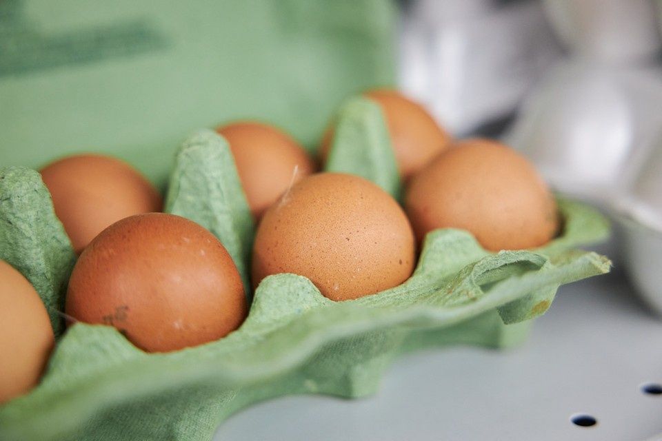 ����� �������� ������������ ���������: ����� ������� ������� ���������