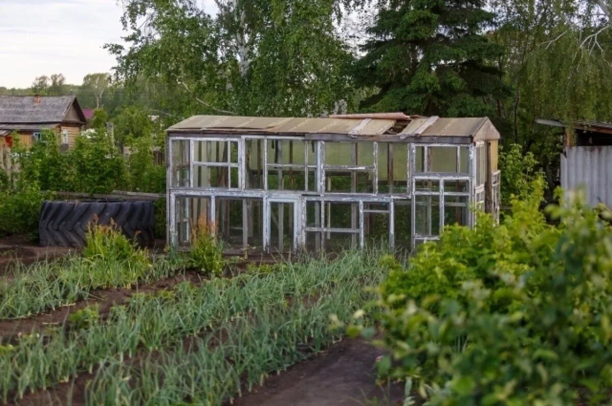 ����� �������� ��� � ����� � �������: ������� �� ��������