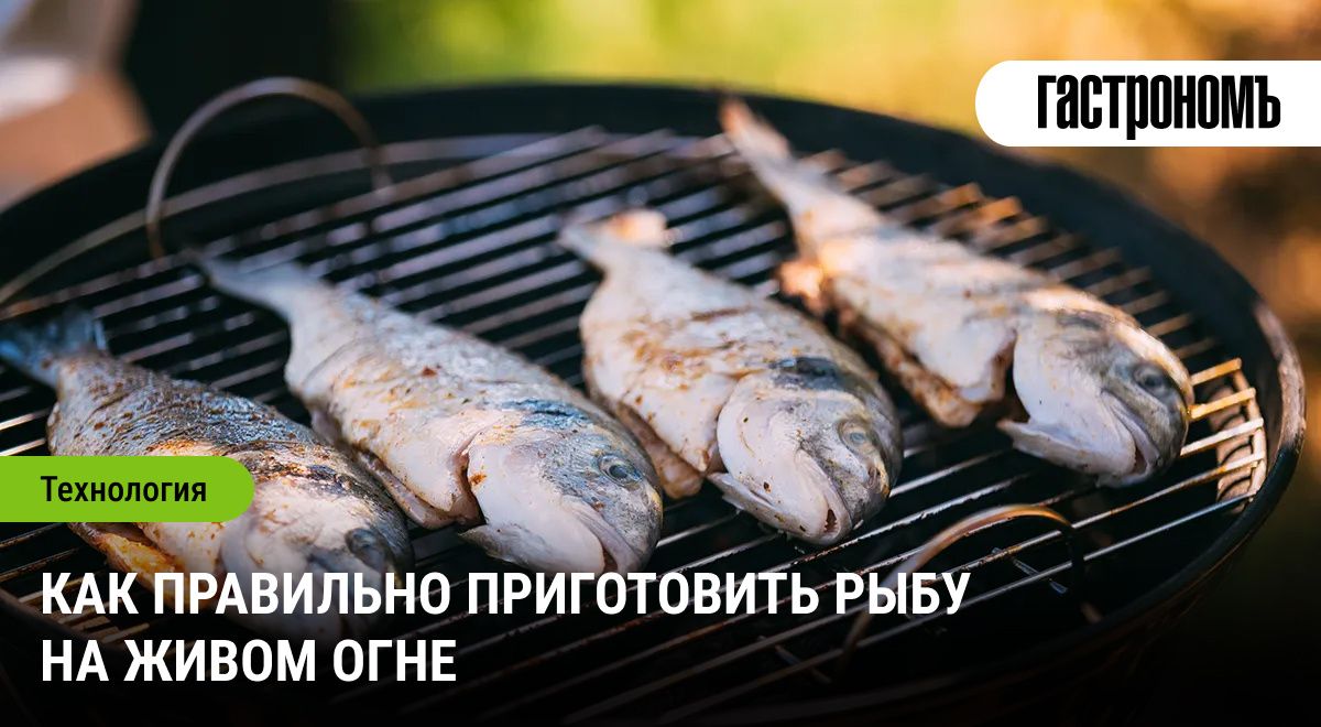 ������������ �������: ��� ��������� ����������� ���� �� �����