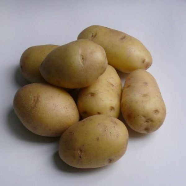 Картофель Артемис: секреты успешного выращивания и великолепного вкуса