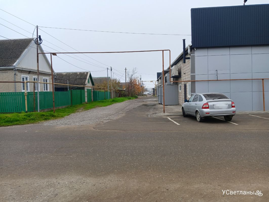 Комфортный день с жареной рыбой