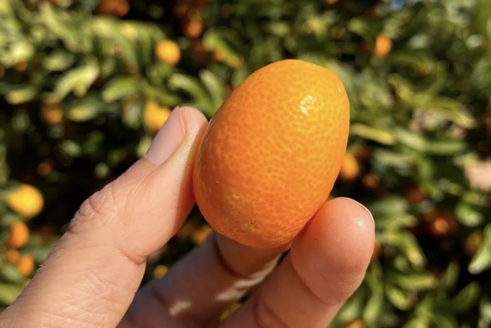 �������: ��������� ������ � ����� ������