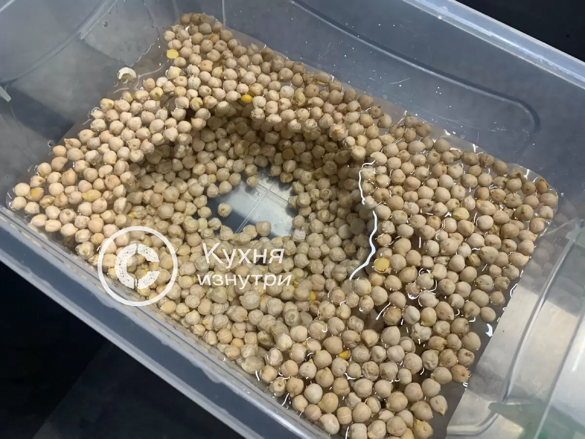 Как вырастить нут в домашних условиях: полезные советы и рекомендации