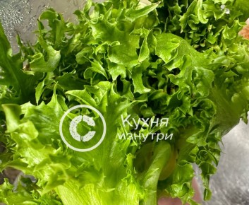 ��������� ������ ����������� ���������� ������ ������ �� �����������