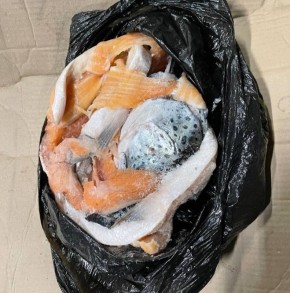 Семга на прилавках: свежесть и качество гарантированы