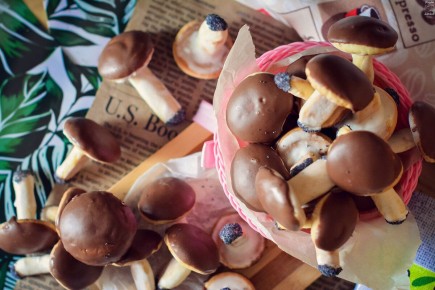 �������?�������� �� 2,5 ����: ������� ����, ������� ������ ������