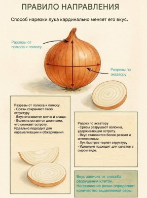 Как нарезка лука меняет его вкус