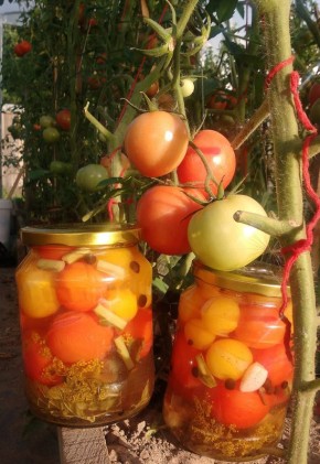 ��������� ������ ������������ ���������: �������� � ���� ��� ������� ����������