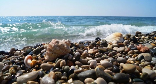 ����� �����