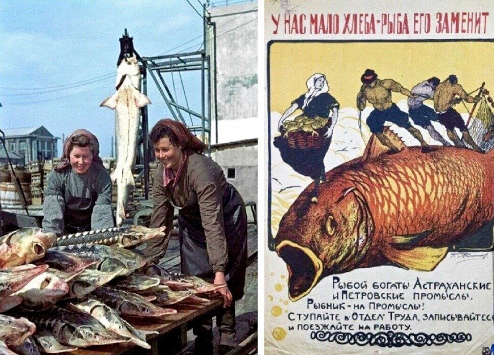Рыбный четверг: Как советская традиция стала кулинарной загадкой