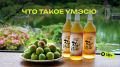 Умэсю: японское сливовое вино, которое легко полюбить с первого глотка