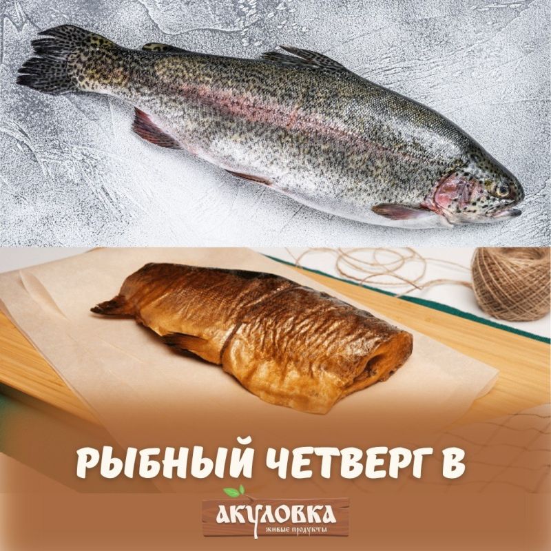 Завтра в рыбный четверг: эксклюзивные предложения на свежую рыбу